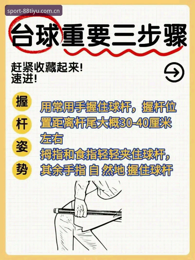 88体育平台使用指南最新动态：新手快速上手指南与实用技巧